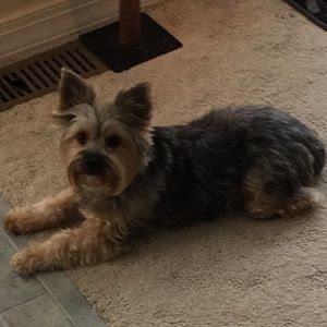 Meet your Posher, Natalie